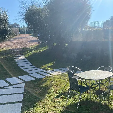 公寓 Residenza Cipressi E Olivi *